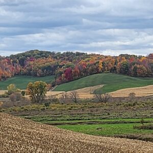 Hills In Fall